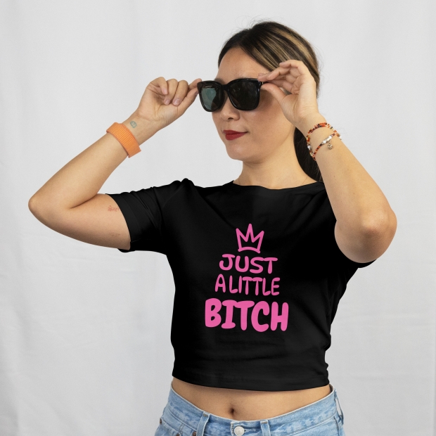 DTF-Bügelmotiv „Just a little Bitch“