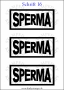 Temporäres Klebetattoo „Sperma“