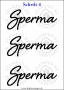 Temporäres Klebetattoo „Sperma“