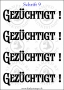 Temporäres Klebetattoo „Gezüchtigt“
