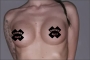 Temporäres Brustwarzen-Tattoo – Owned Slut !
