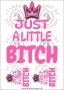 DTF-Bügelmotiv „Just a little Bitch“