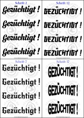 Temporäres Klebetattoo „Gezüchtigt“
