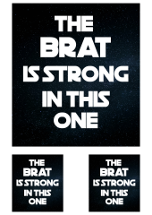 DTF-Bügelfolie - The Brat is Strong in this one-