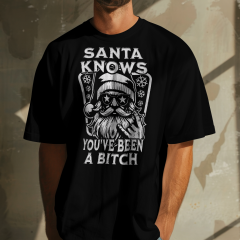 DTF Bügelmotiv Santa knows youve been a Bitch